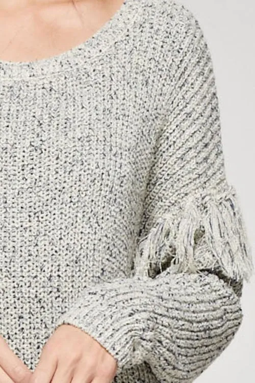 Crew Neck Fringe Sleeve Sweater